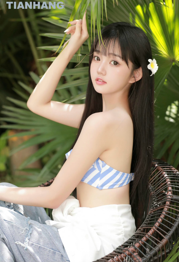 阿甘正传 封面
